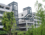 Standard Structural Steel Building for Office (6000Square Meters)