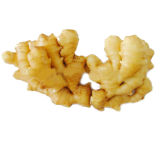 Chinese Spices, Herbs---Chinese Ginger