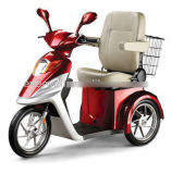 Handicapped Electric Tricycle Evmj-04