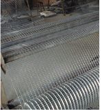 Galvanized Square Wire Mesh