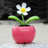 Solar Apple Flower, Flip Flap