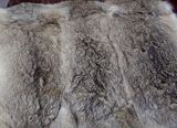 Fur Fabric