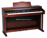 Allegro Digital Piano 800A
