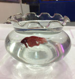 Glassware Fish Bowl