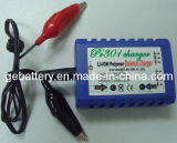 R301 Charger for RC Battery