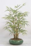 Artificial Topical Plant