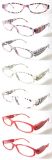 LED Plastic Eyewear (RP444002)