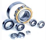 Cylindrical Roller Bearing Products From China (Nj320)