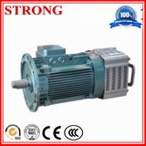 Construction Brake Motor for Hoist, Crane Hoisting Motor