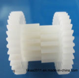 Plastic Gear, Double Spur Gear, Plastic Spur Gear