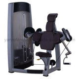 20 Years Experiences Biceps Curl Gym Equipment / Fitness Equipment for Body Building