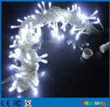 High Quality Wedding White Fairy Lights Decoration Connectable