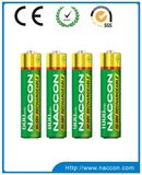 AA 1.2V 1000mAh Rechargeable Ni-MH Battery