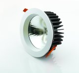 Td004-20 LED Down Light/Lamp 20W CE Bridegelux