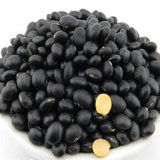 Hot Sale 2015 Higher Quality Samll Black Bean Yellow Kernel