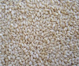 China 2015 Organic Dired Natural Sesame for Competitive Price