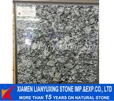 Surf White Granite Tiles for Flooring Decoration