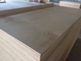 Birch Plywood for Furnityre