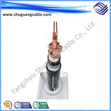 Fr/PVC/PE/XLPE/Sta/Swa Flexible Instrument Computer Cable