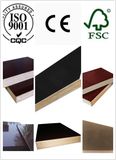 Brown Film Poplar Core Film Faced Plywood