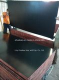 Black Film Faced Plywood Poplar Core First Grade