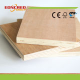 Poplar and Eucalyptus Core Plywood From Linyi