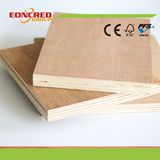 Poplar and Eucalyptus Core Plywood From Linyi