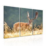 The Popular Sika Deer Decorative Painting for Wall
