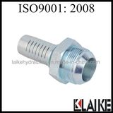 Jic Male Thread Forged Hydraulic Fitting (16711)