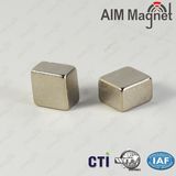 Square Strong Rare Earth Magnet