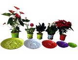 Star Carry Pot