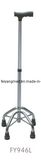 Walking Stick