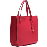 Korean Style Ladies Handbags Brand Handbag Lady Wholesale Handbag (S1009-A4071)