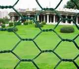 Chicken Wire/Hexagonal Wire Mesh/Stucco Netting