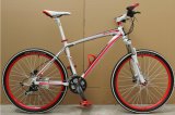 27 Speed Hot Sell Aluminum Alloy Mountain Bicycle (AFT-MB-040)