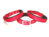 Padded Pet Collar /Dog Collar /Pet Product (C4005)