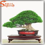 Indoor Artificial Fiberglass Pine Bonsai Topiary Frame Plant Sale