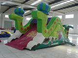 Inflatable Mini Slide