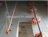 Bangchi High Quality Plastic Slat Floor for Poultry