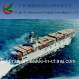 Efficient Shipping Agency From China to Barranquilla, Colombia