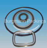 Spiral Wound Gasket with or Without Inner/Outer Guide Ring