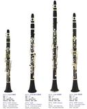 Hard Rubber Body Clarinet (JYCL-E180 A400 A500 A800)