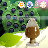 Herbal Extract Nuciferine for Weight Loss CAS 475-83-2