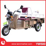 Fashionable Adult Electric Tricycle