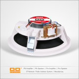 OEM Factory Professional Loud Speaker with CE