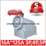 IP44 16A 3p+N+E 400V Industrial Surface Mounting Socket Outlet