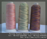 24s/2 Special Embroidery Thread/Yarn
