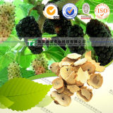 100% Pure Natural Herb Medicine Ramulus Mori
