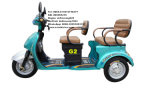 Electric Tricycle for Adult/Adult Tricycle/Tricycle for Elderly G20