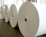 PE Coated Paper in Roll for Paper Cup